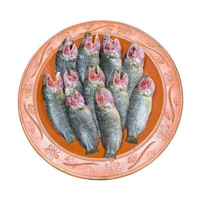 দেশি কই মাছ